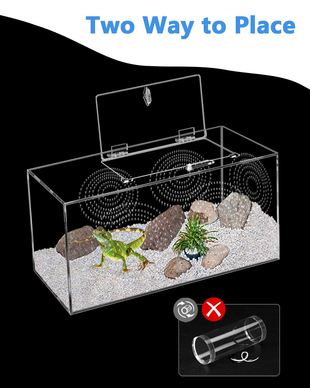 Harhana enclos tarantule: nettoyage facile grâce à surface lisse et sans coins.