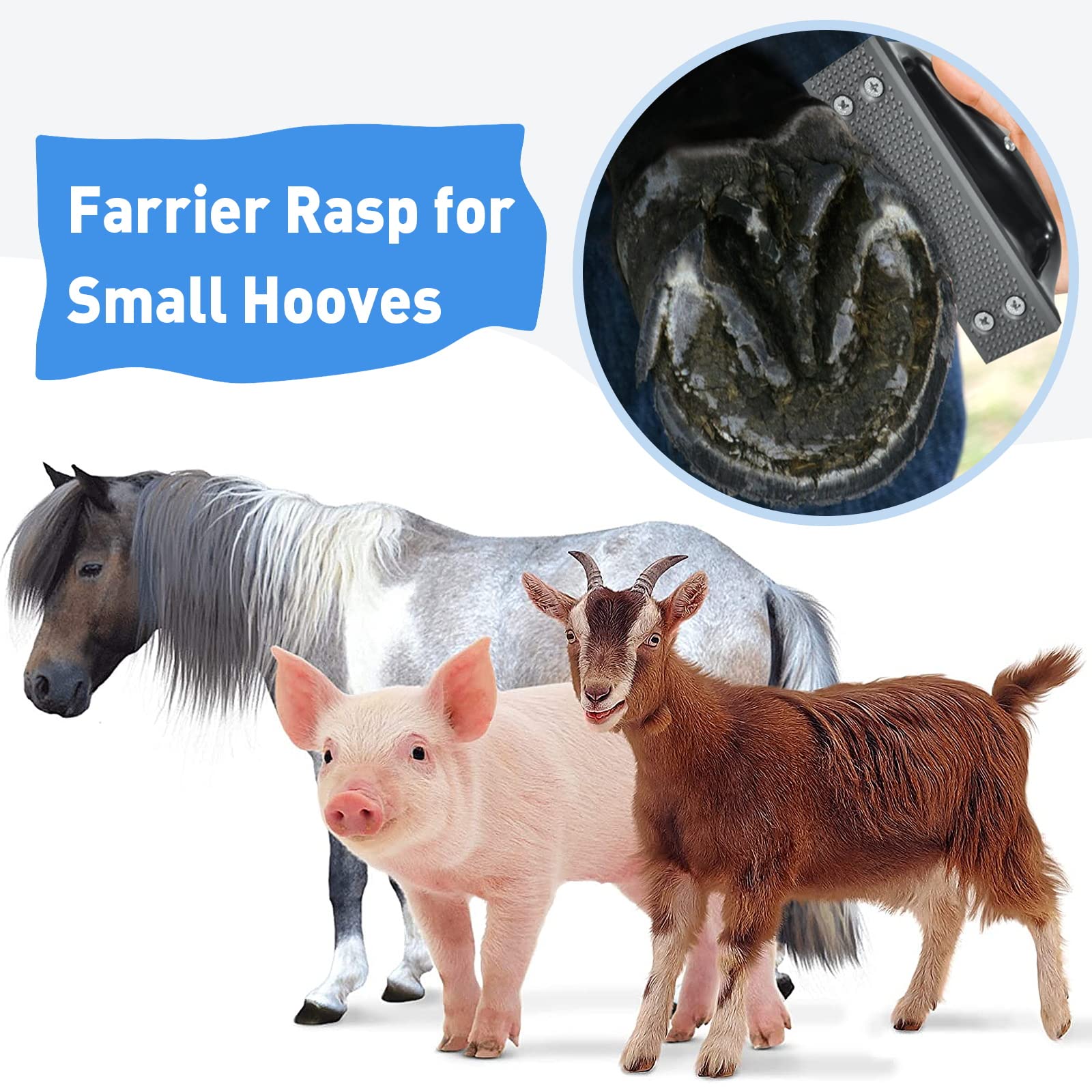 Harhana raspe-dents-acier-inox: dents robustes pour enlever les bavures.
