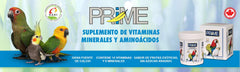 Cuillère doseuse Hari Hagen Prime pour doser les compléments et nourrir la vitalité.