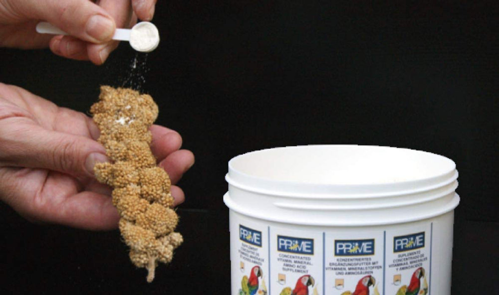 Probiotiques micro-encapsulés Hari Hagen Prime pour aider la digestion et le bien-être.