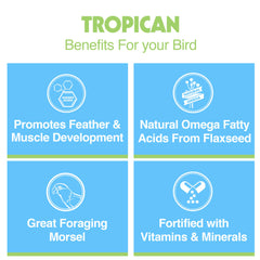 Bâtonnet Tropican pour grandes espèces – soutien nutritionnel