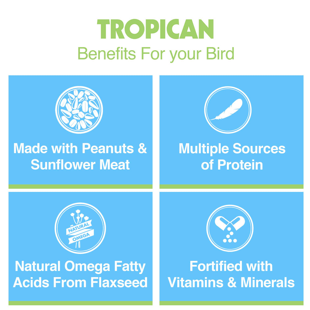 Granulés faciles à manger – HARI Tropican pour perroquets en maintenance