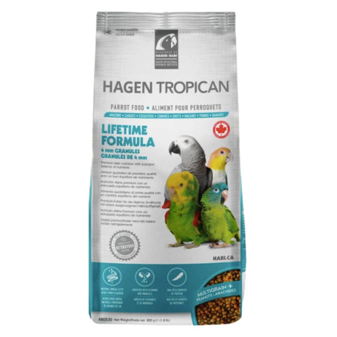 Nourriture HARI Tropican dans un bol, alimentation équilibrée pour perroquets.