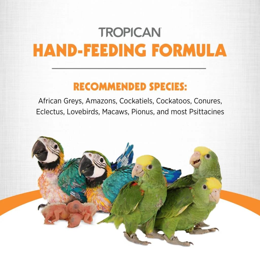 Oiseaux en croissance heureux grâce à Hari Tropican, alimentation complète pour perroquets.