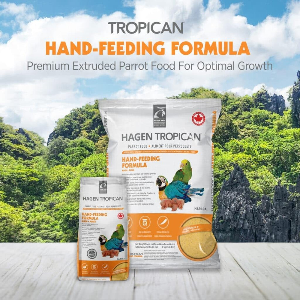 Texture purée extrudée Hari Tropican, idéale pour le nourrissage des jeunes oiseaux.