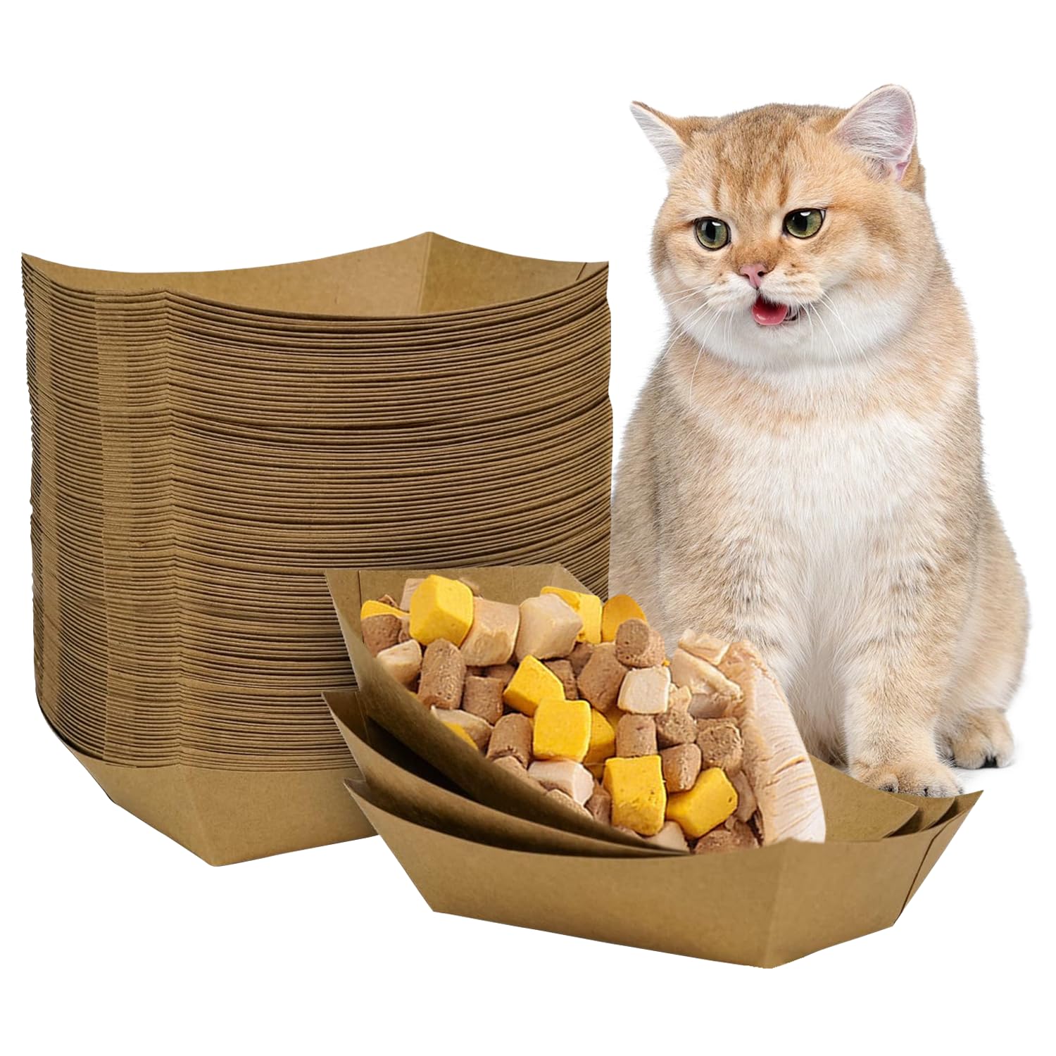 Harich CurLife assiette-papier chat 4-3 pouces avec revêtement anti-éclaboussures.