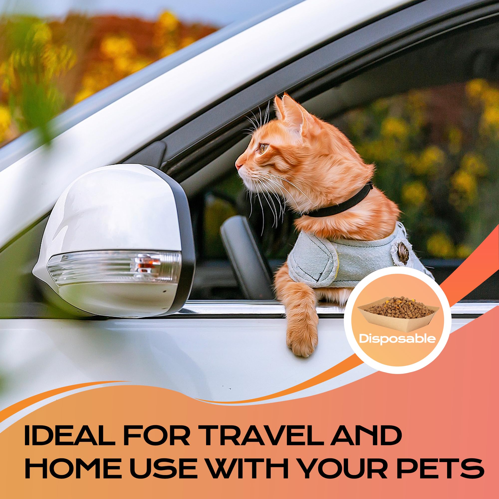 Harich CurLife assiette-papier voyage pratique pour animaux lors déplacements.