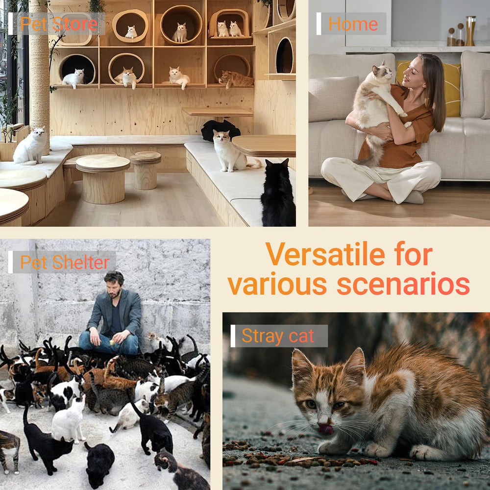 Harich CurLife station nourrissage chat pratique pour plusieurs animaux.