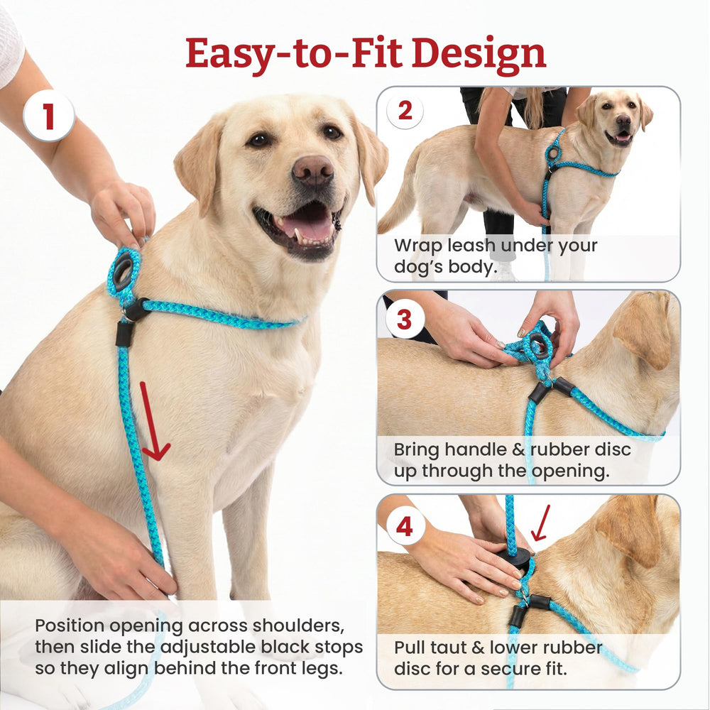 Harness Lead ajustement poitrine assure un serrage confortable sans frottement.