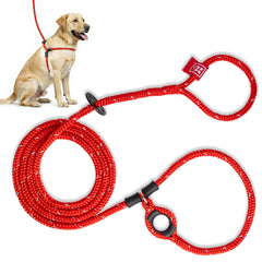Harness Lead ensemble harnais et laisse pour des promenades plus calmes et sécurisées.