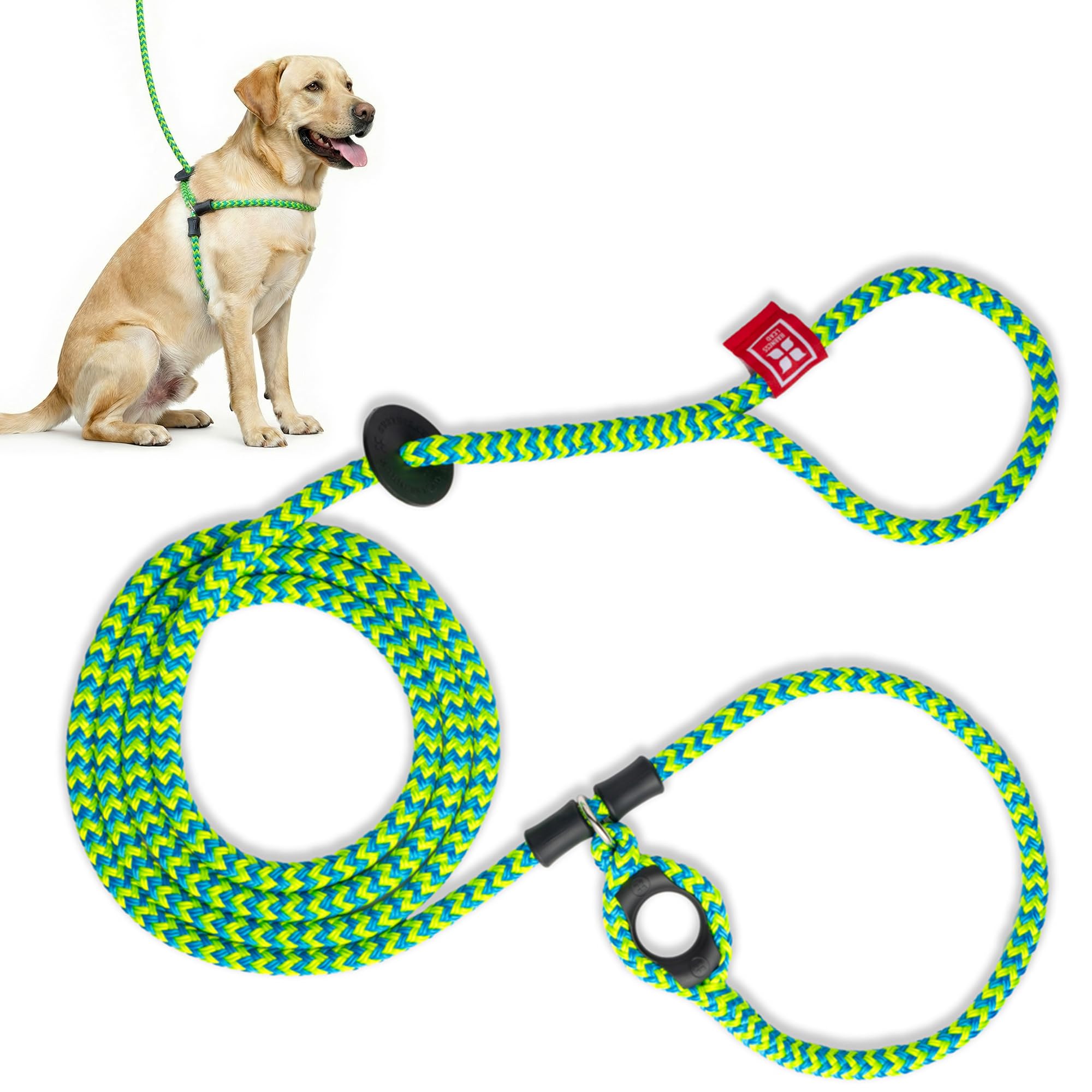 Harness Lead harnais sans traction en action pour des promenades sécurisées