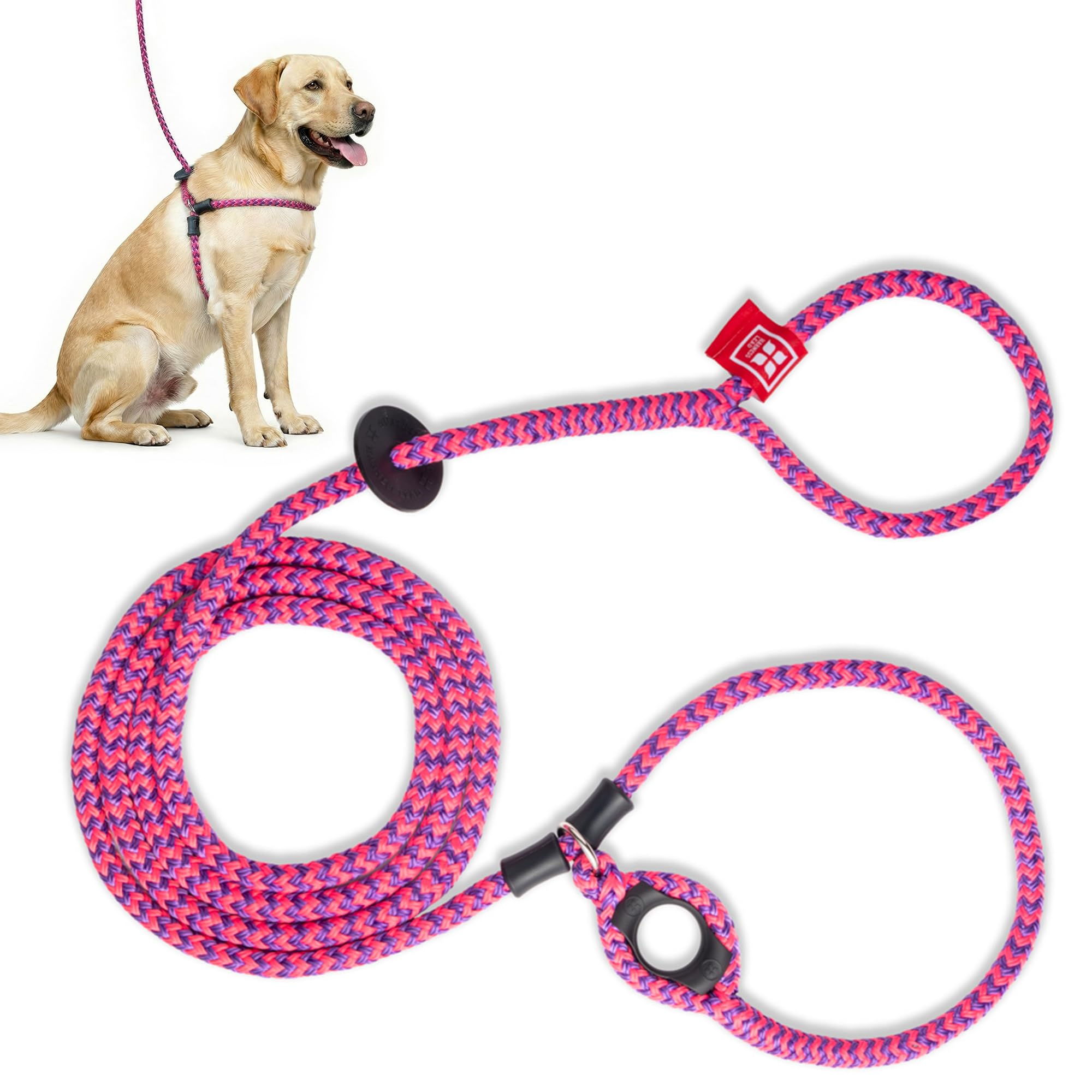 Harnais Harness Lead avec insertion circulaire pour un ajustement confortable.