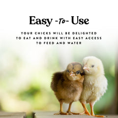 Distributeur alimentation poulet Harris Farms avec base visser, installation stable dans le poulailler.