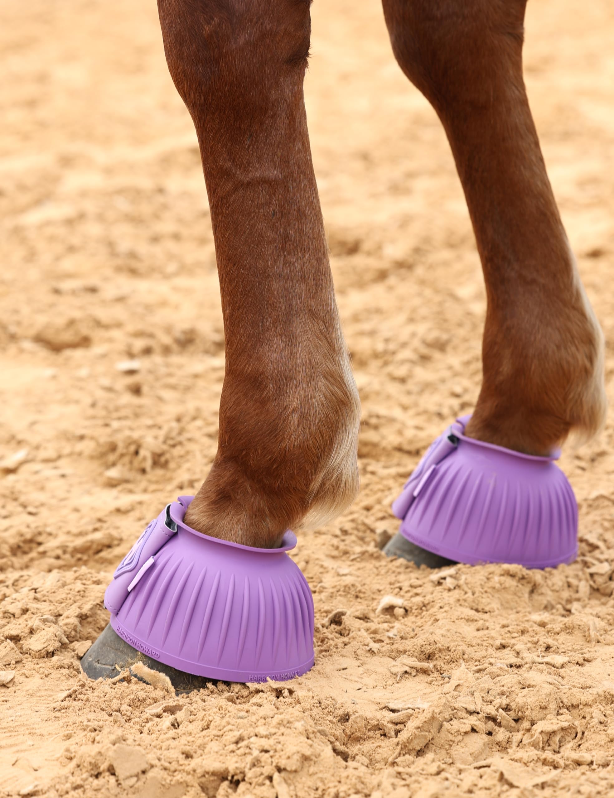Bottes Bell Harrison Howard, grande sangle en cuir, mise en place rapide et fixation sûre.