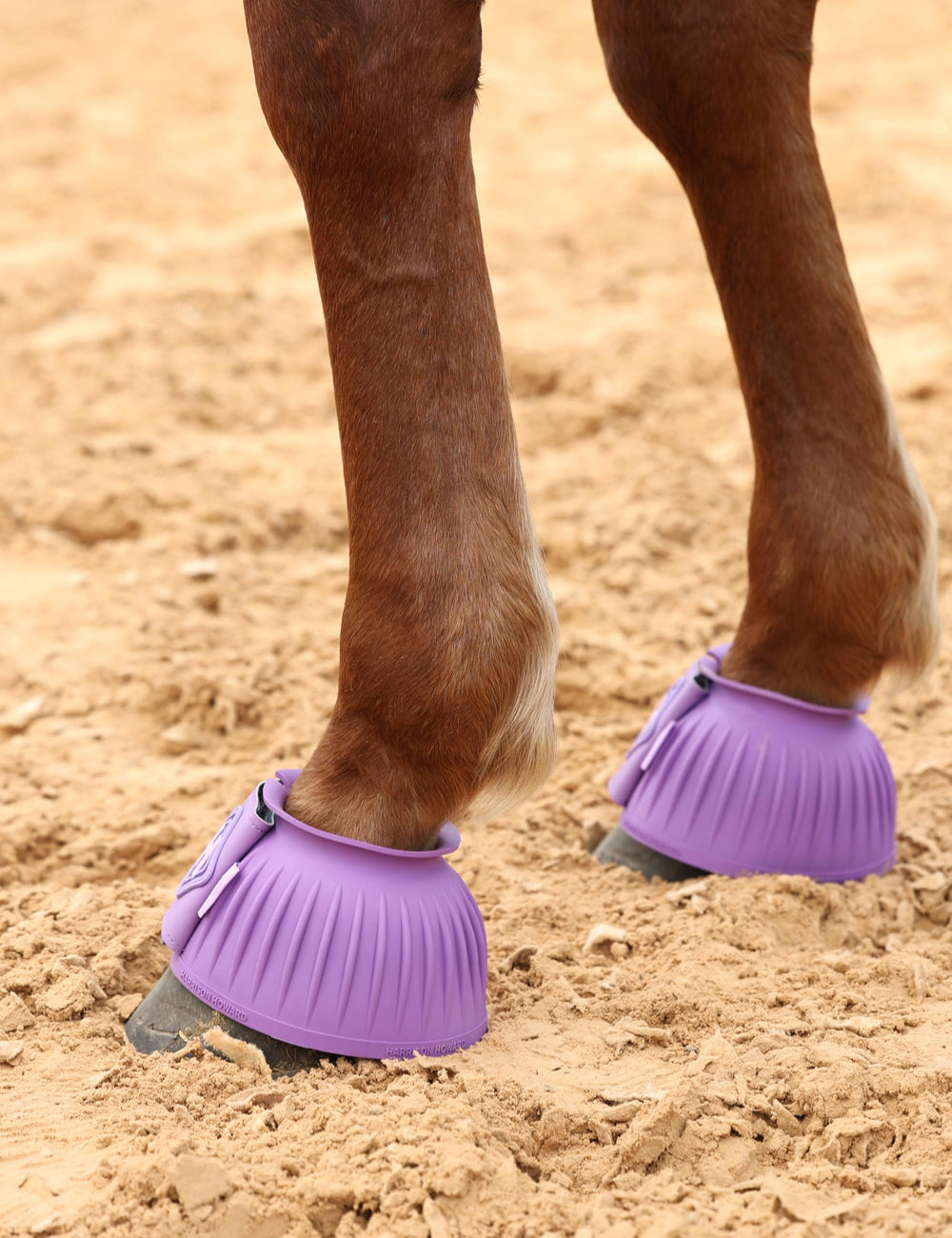 Bottes Bell Harrison Howard, grande sangle en cuir, mise en place rapide et fixation sûre.