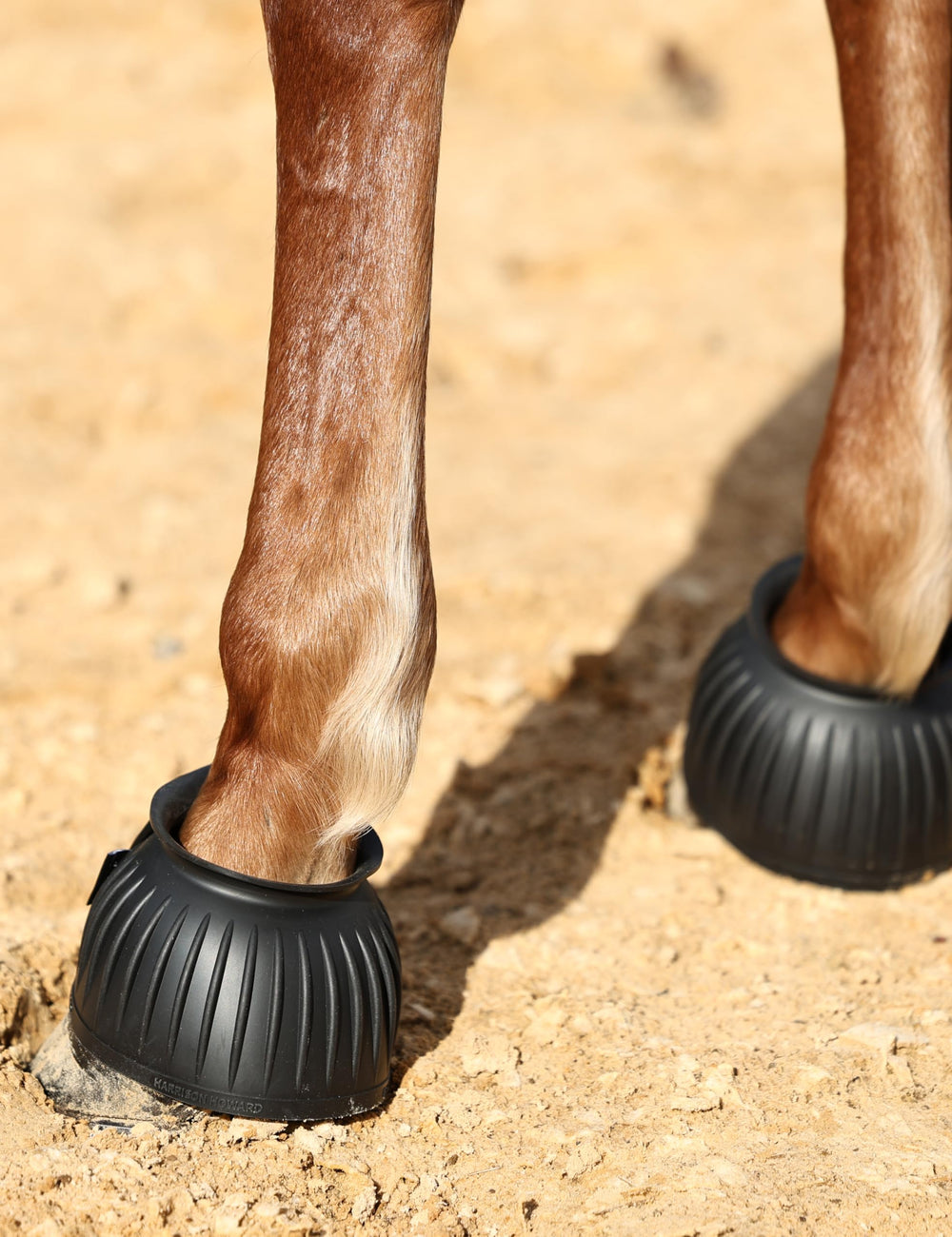Variantes de couleurs disponibles des Bottes Bell Harrison Howard