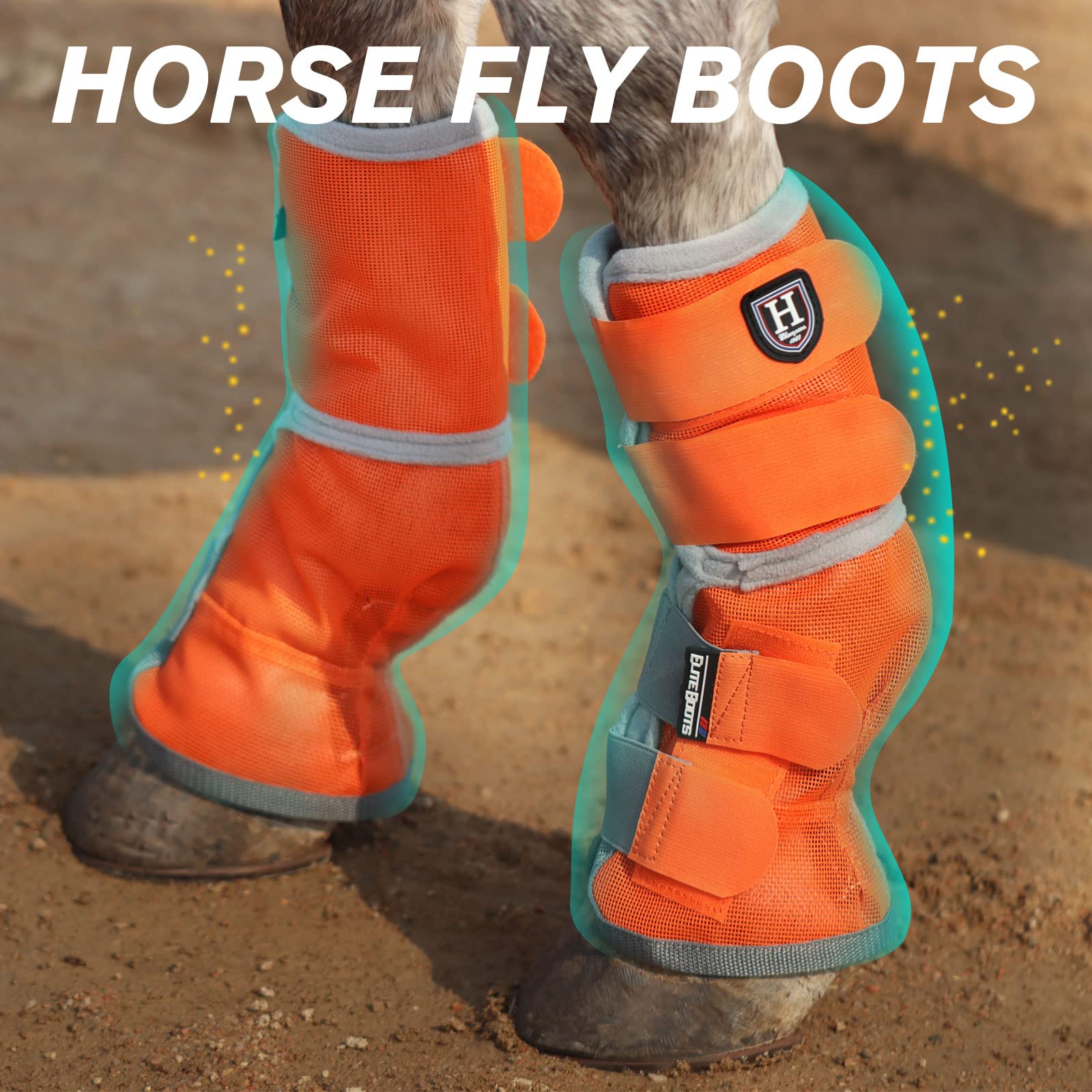 Bottes Harrison Howard protection des membres avant et arrière, soutien fiable pendant l'entraînement.