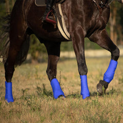Bottes front amortissantes Harrison Howard, maintien des tendons et performance en endurance.