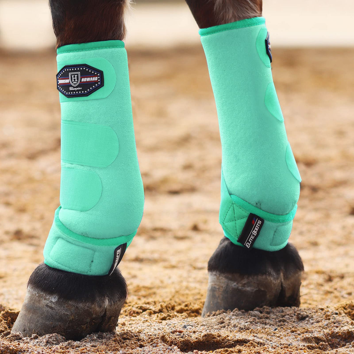 Bottes Harrison Howard avant absorbant les chocs pour les jarrets du cheval