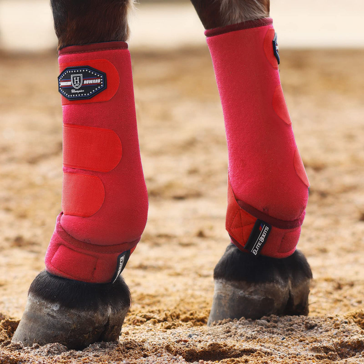 Bottes Harrison Howard pour l'avant du cheval, protection robuste.