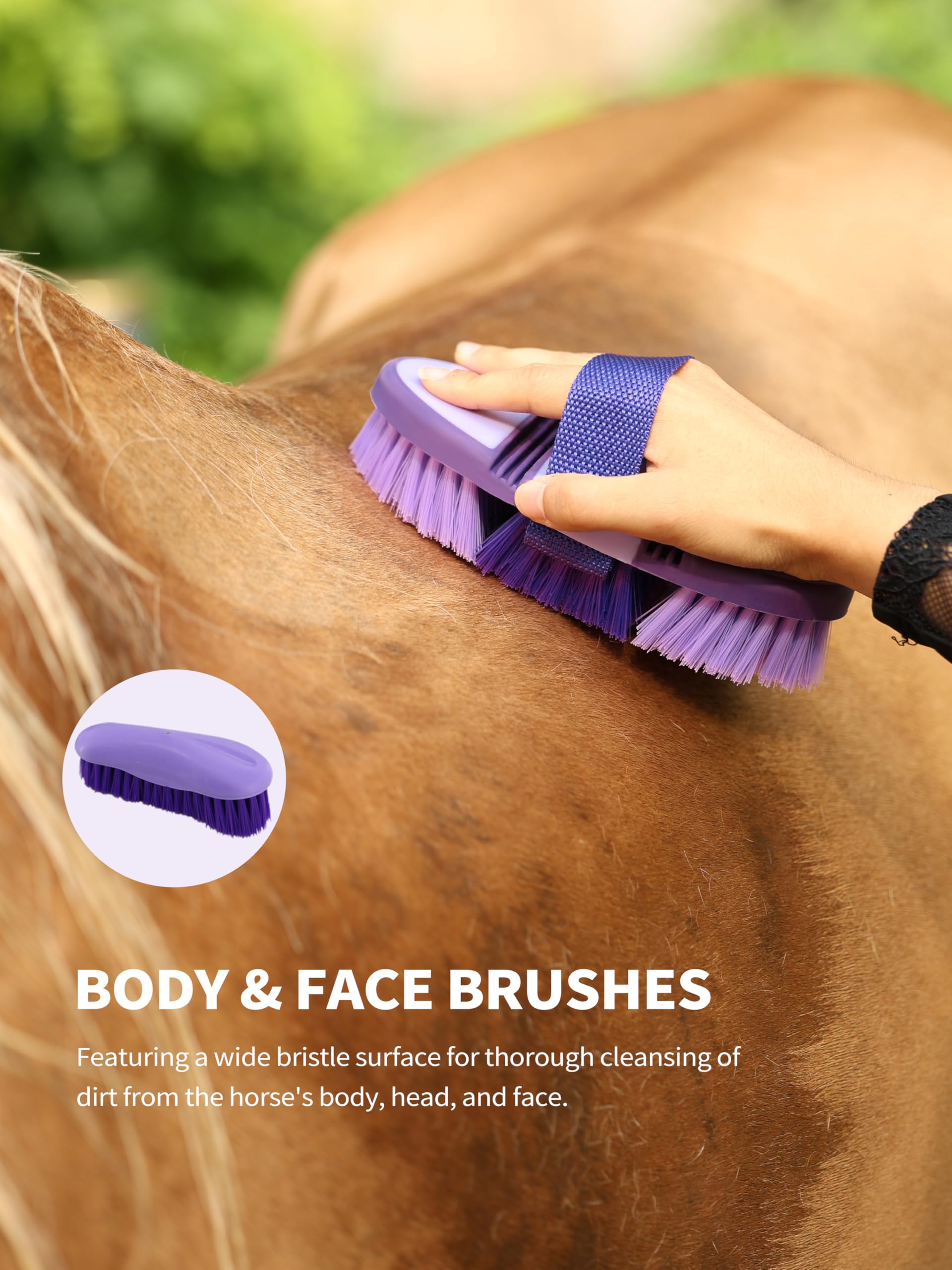Brosse visage et pattes Harrison Howard pour zones sensibles et quotidiennes.