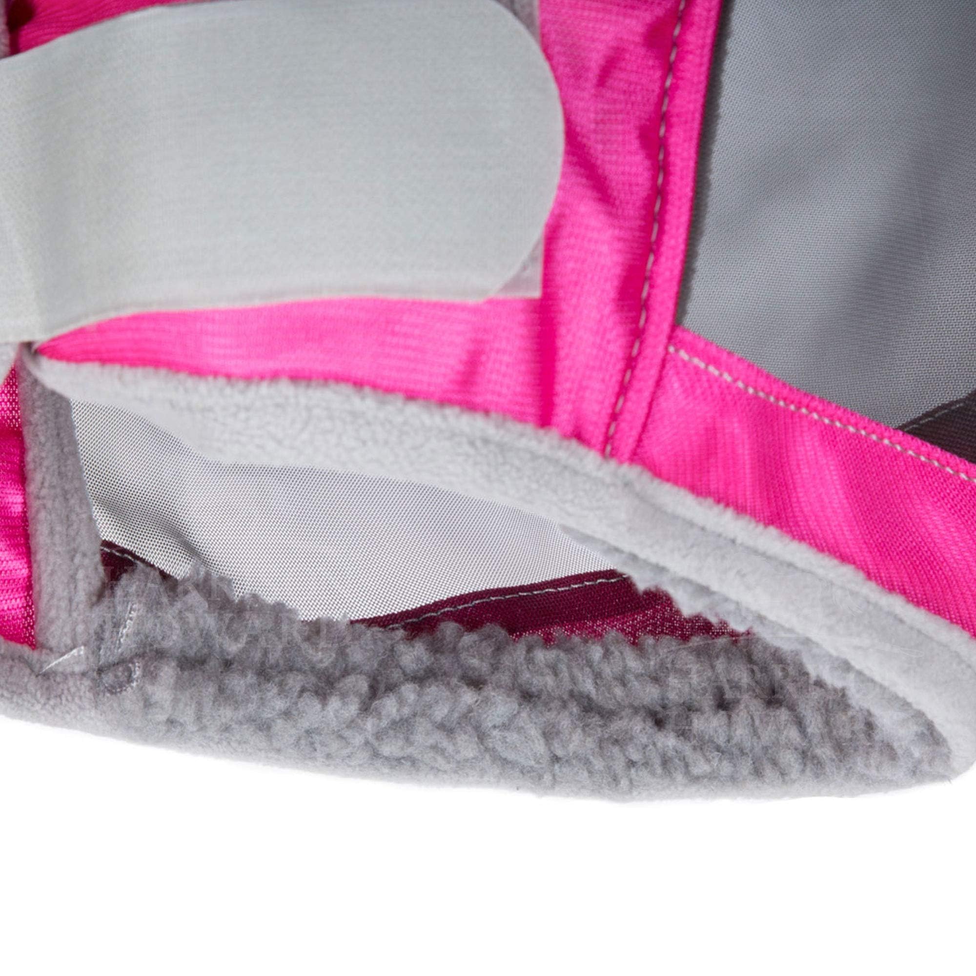 Ventilation efficace du CareMaster Pro pour garder le cheval au frais