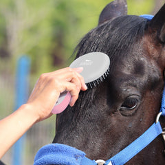 Dents arrondies Harrison Howard, respect de la peau du cheval.