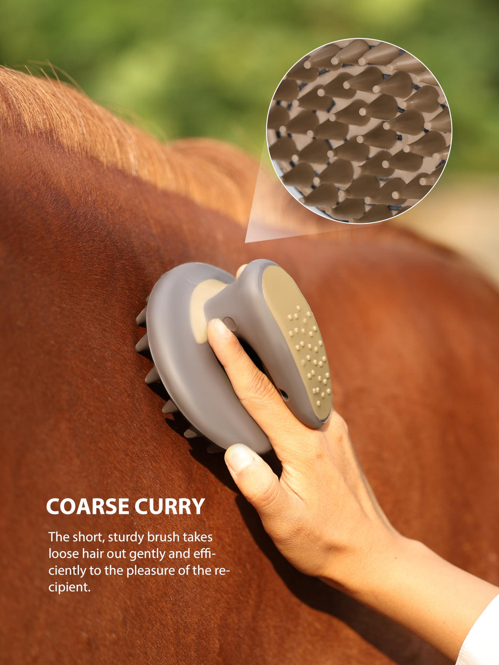 Ensemble de brosses Harrison Howard, kit polyvalent pour tous les besoins du cheval.