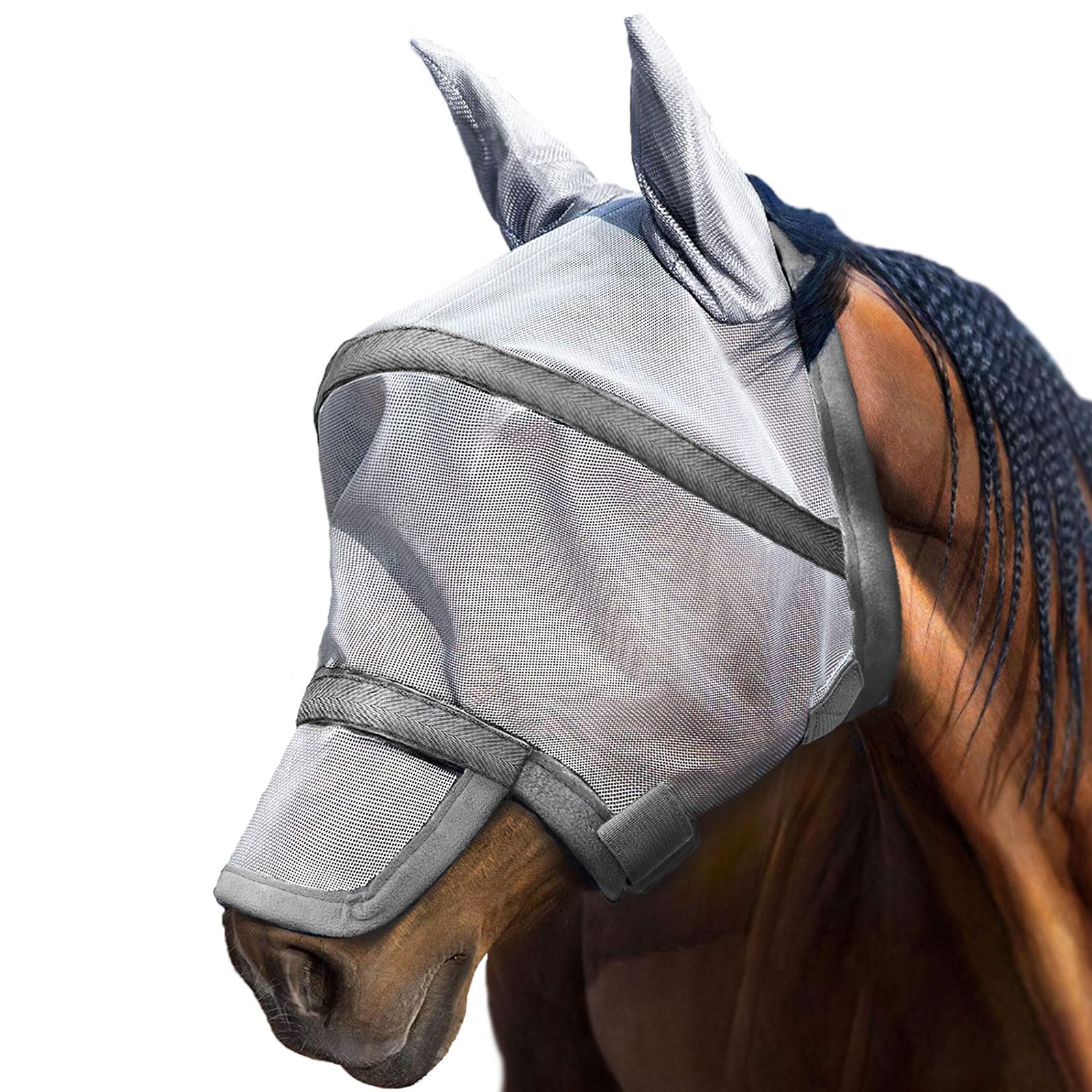 Harrison Howard Maskology: masque anti-mouches cheval UV protégeant les yeux.