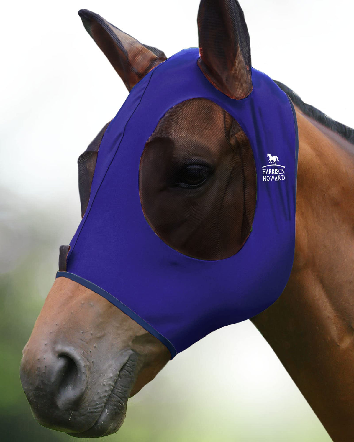 Masque Harrison Howard anti-mouche avec grand espace oculaire pour une vision claire