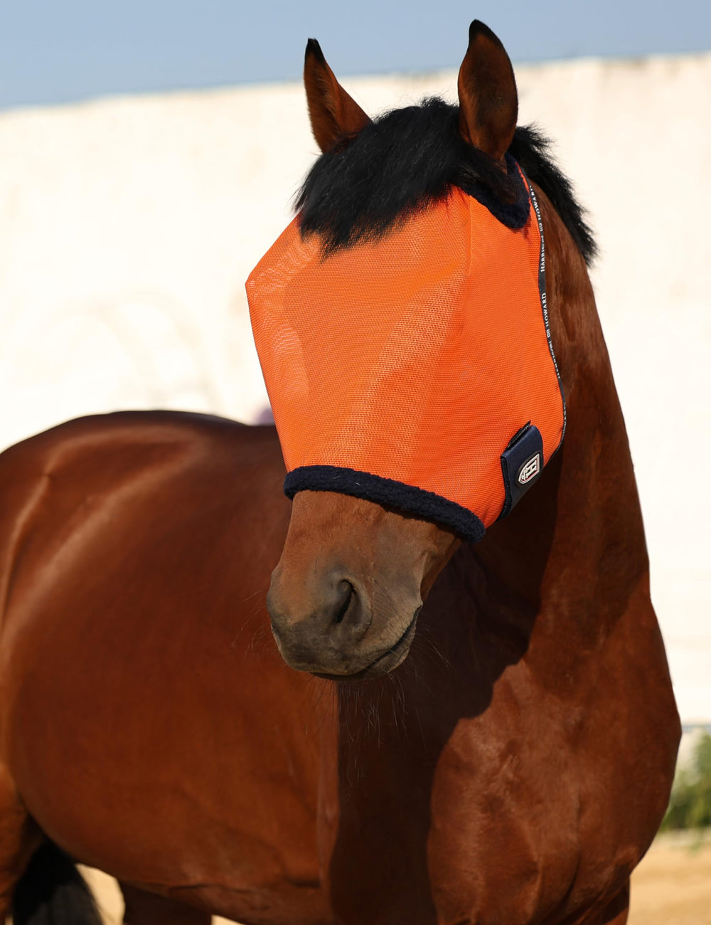Utilisation estivale du masque Harrison Howard pour repousser mouches et pollen.