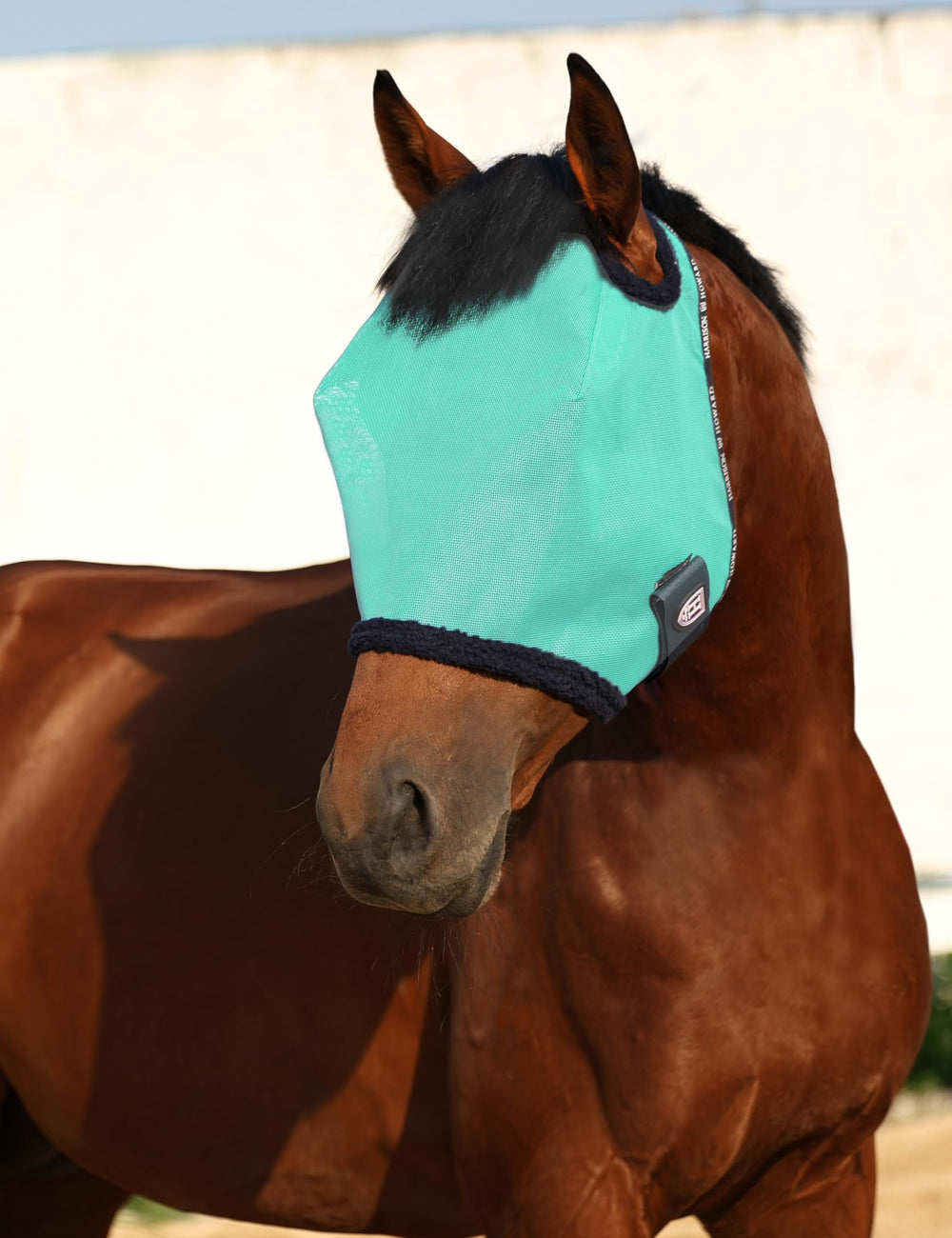 Masque maillage Harrison Howard menthe — protection UV discrète lors de sorties estivales.