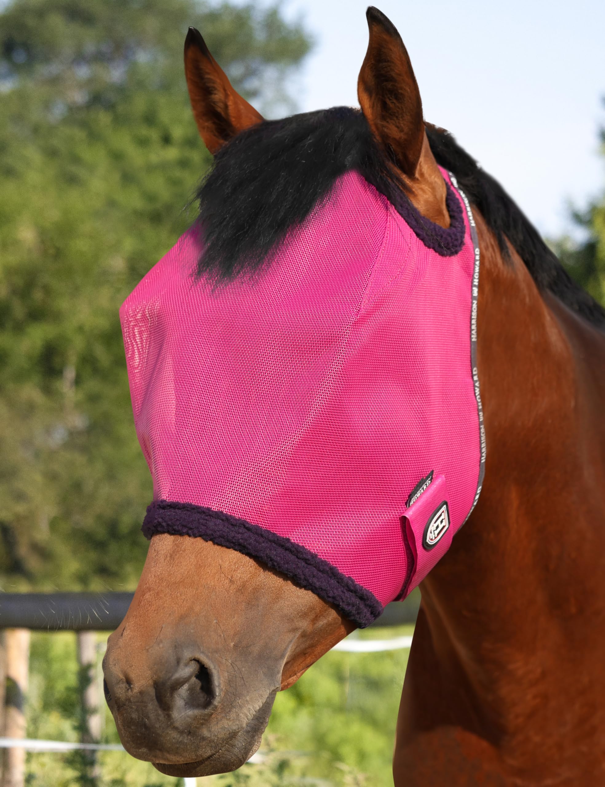 Masque maille Harrison Howard protégeant le cheval des UV avec ventilation efficace.