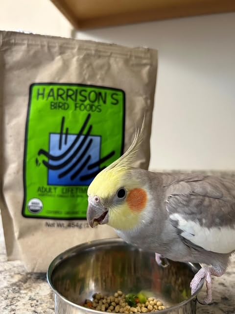 Harrison's Alimentation Oiseaux Grains organiques non-GMO pour nutrition équilibrée.