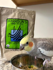 Harrison's Alimentation Oiseaux Grains organiques non-GMO pour nutrition équilibrée.