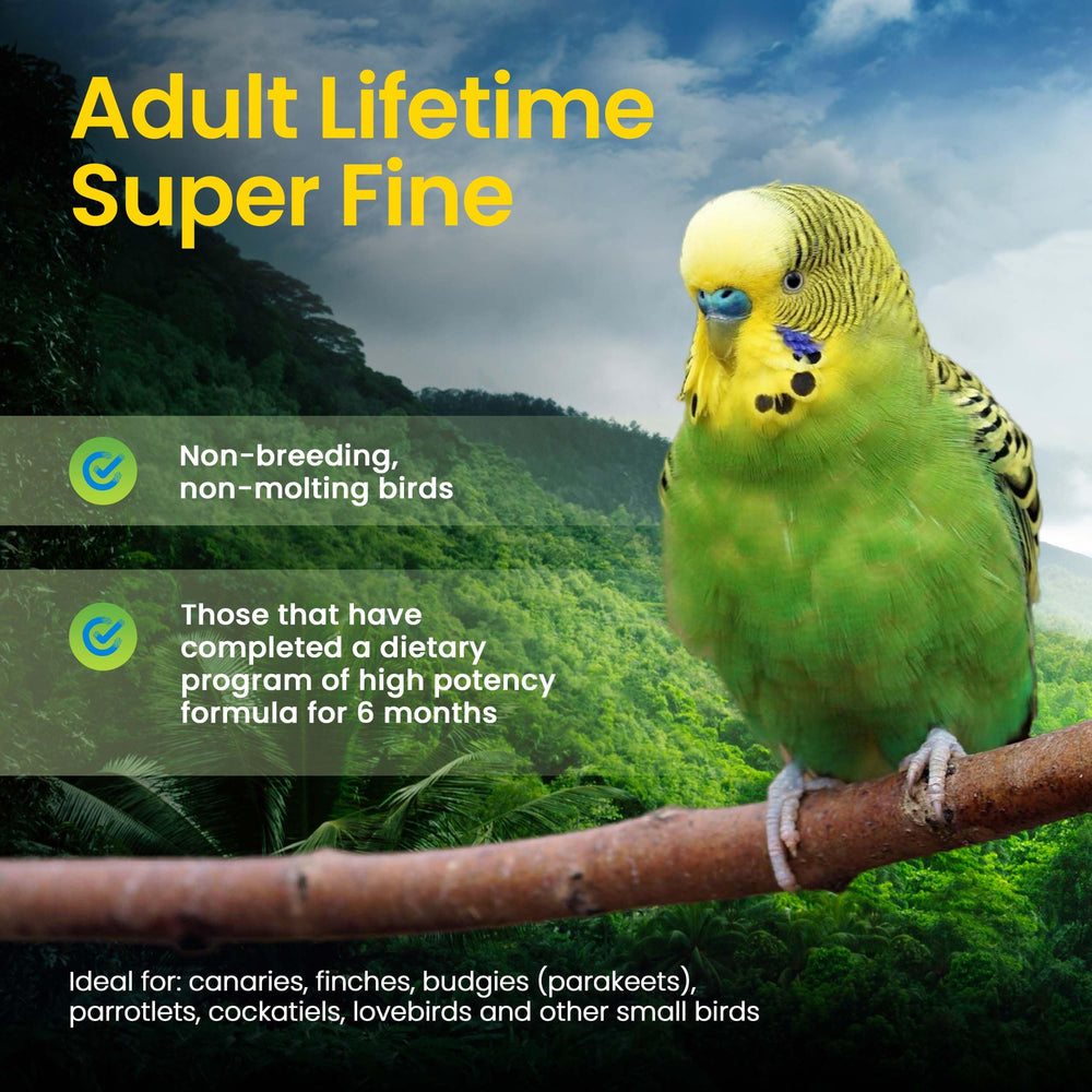 Harrison's Bird Foods – analyses nutritionnelles garanties pour petites espèces.