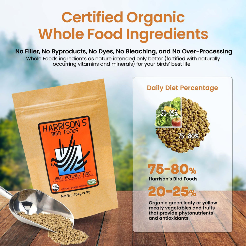Doseur pratique Harrison's Pellets fins haute puissance pour l’alimentation quotidienne.