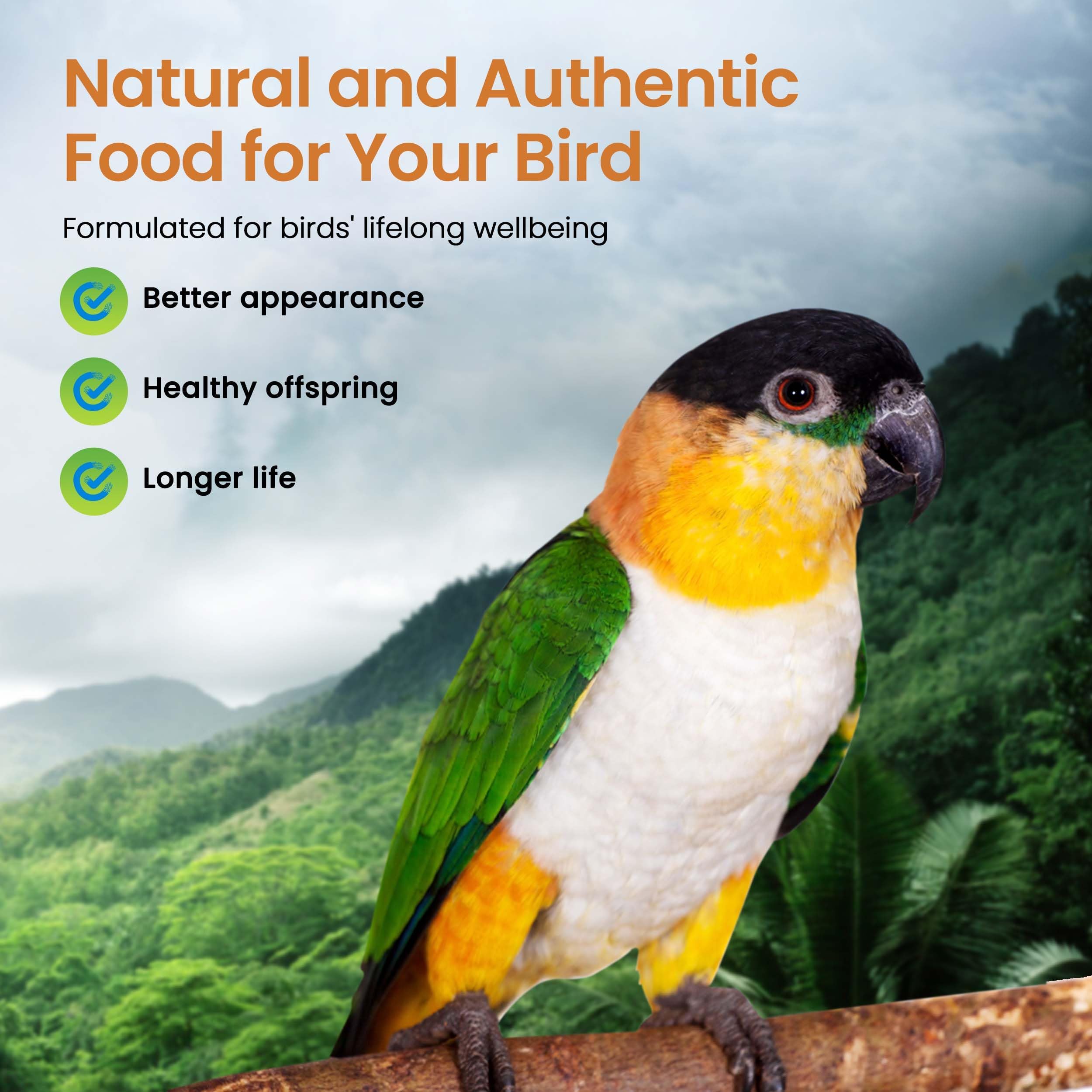 Ingrédients biologiques Harrison's Aliments pour Oiseaux et grains non OGM.