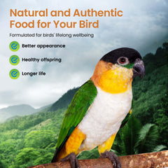 Ingrédients biologiques Harrison's Aliments pour Oiseaux et grains non OGM.