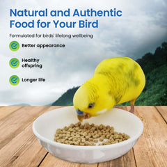 Harrison's Bird Foods – ingrédients bio certifiés pour une alimentation naturelle.