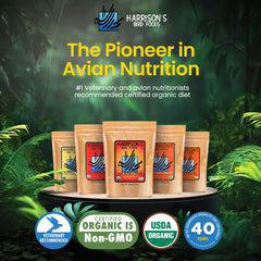 Formule nutritionnelle dense, enrichie en vitamines et minéraux.