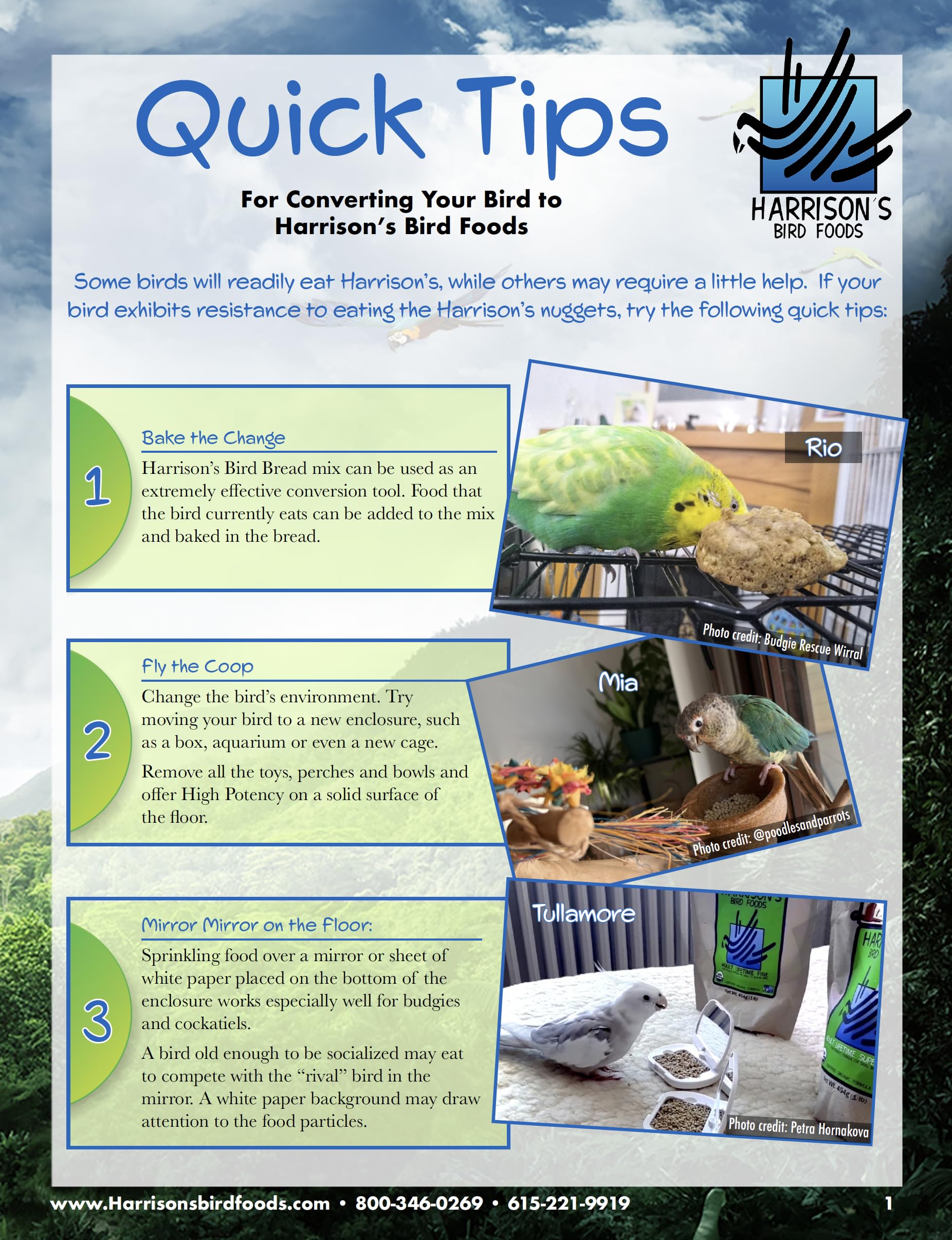 Harrison's Bird Foods Haute Puissance guide d'usage clair pour propriétaires.