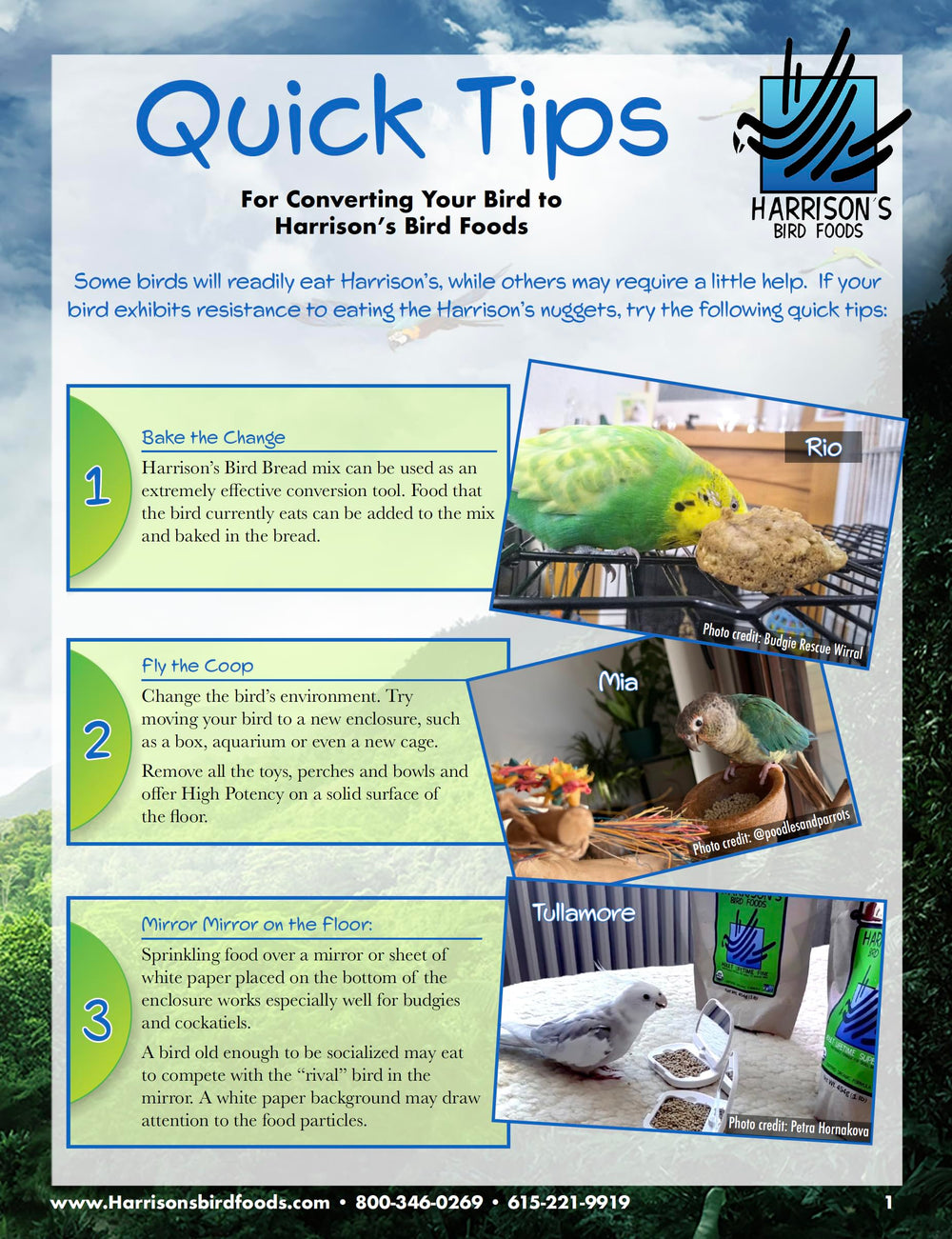 Harrison's Bird Foods Haute Puissance guide d'usage clair pour propriétaires.