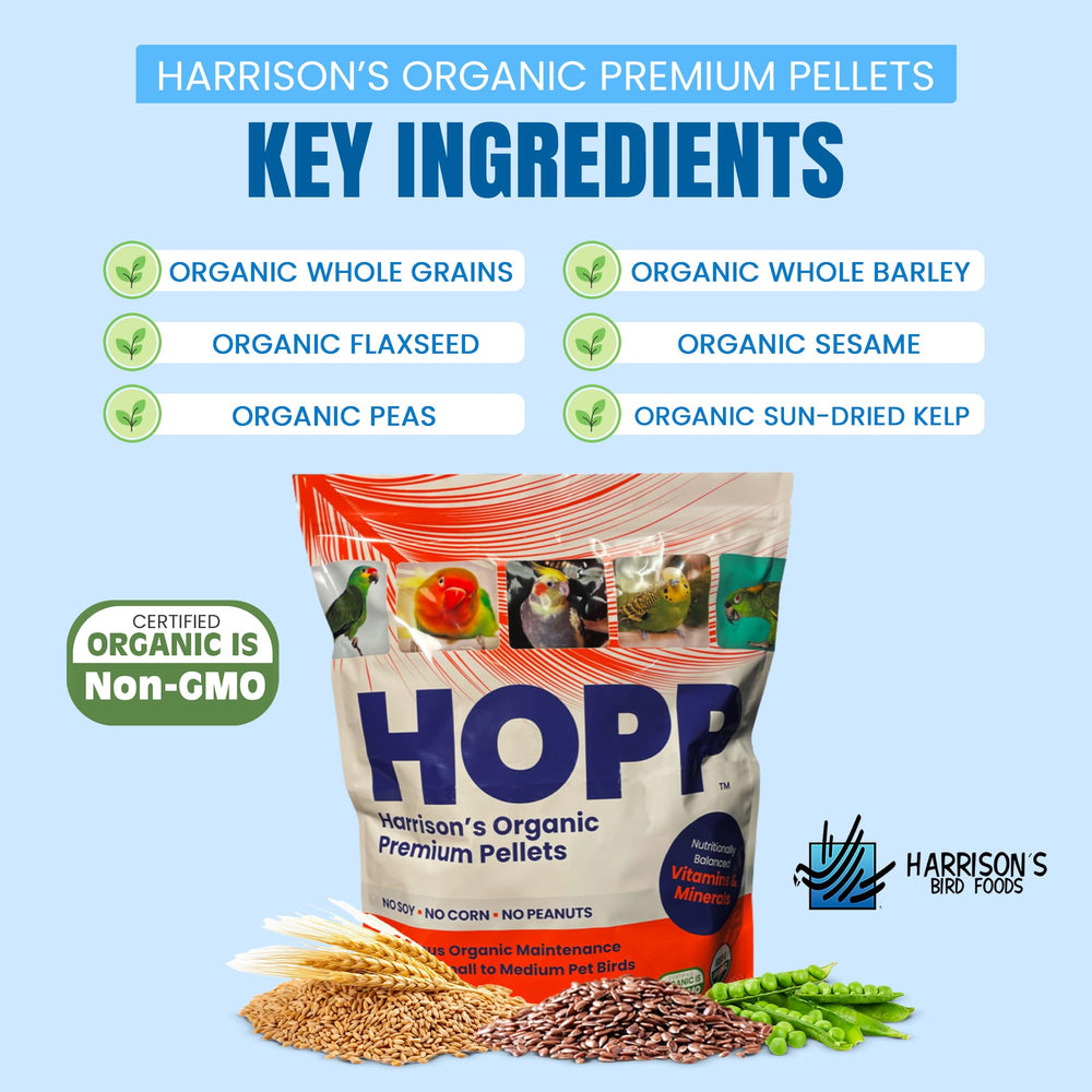 Oiseau sain et actif grâce à l’alimentation HOPP et ses granulés.