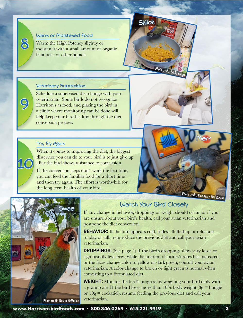 Idéal pour cockatiels et lovebirds en maintenance
