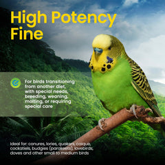 Harrison's Bird Foods illustre une mue et une croissance soutenues par la formule.