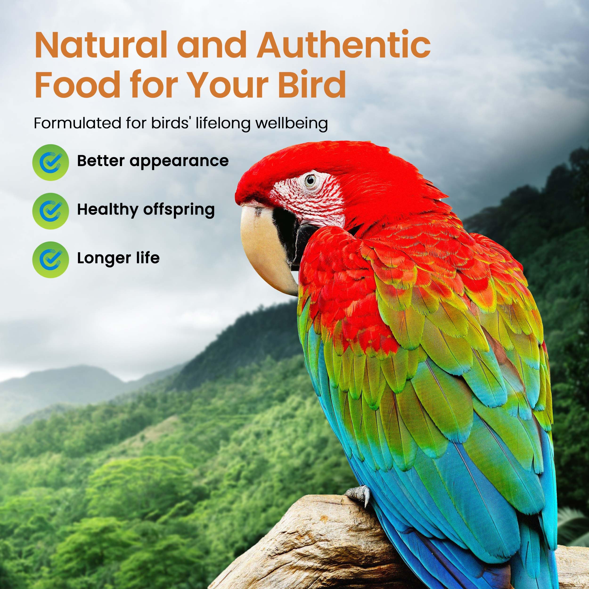 Harrison's Bird Foods – Formule vétérinaire pour nutrition des oiseaux, usage quotidien possible.