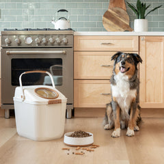 Bol Harry Barker bol-chien-grande-capacite-9-tasses, parfait pour les grands chiens et les repas copieux.