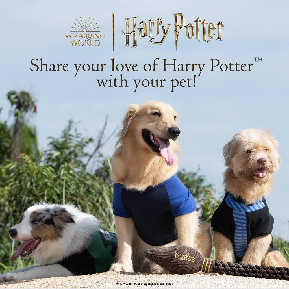 Balles Harry Potter Ravenclaw pour chiens, parfaites pour jeu en intérieur et extérieur.