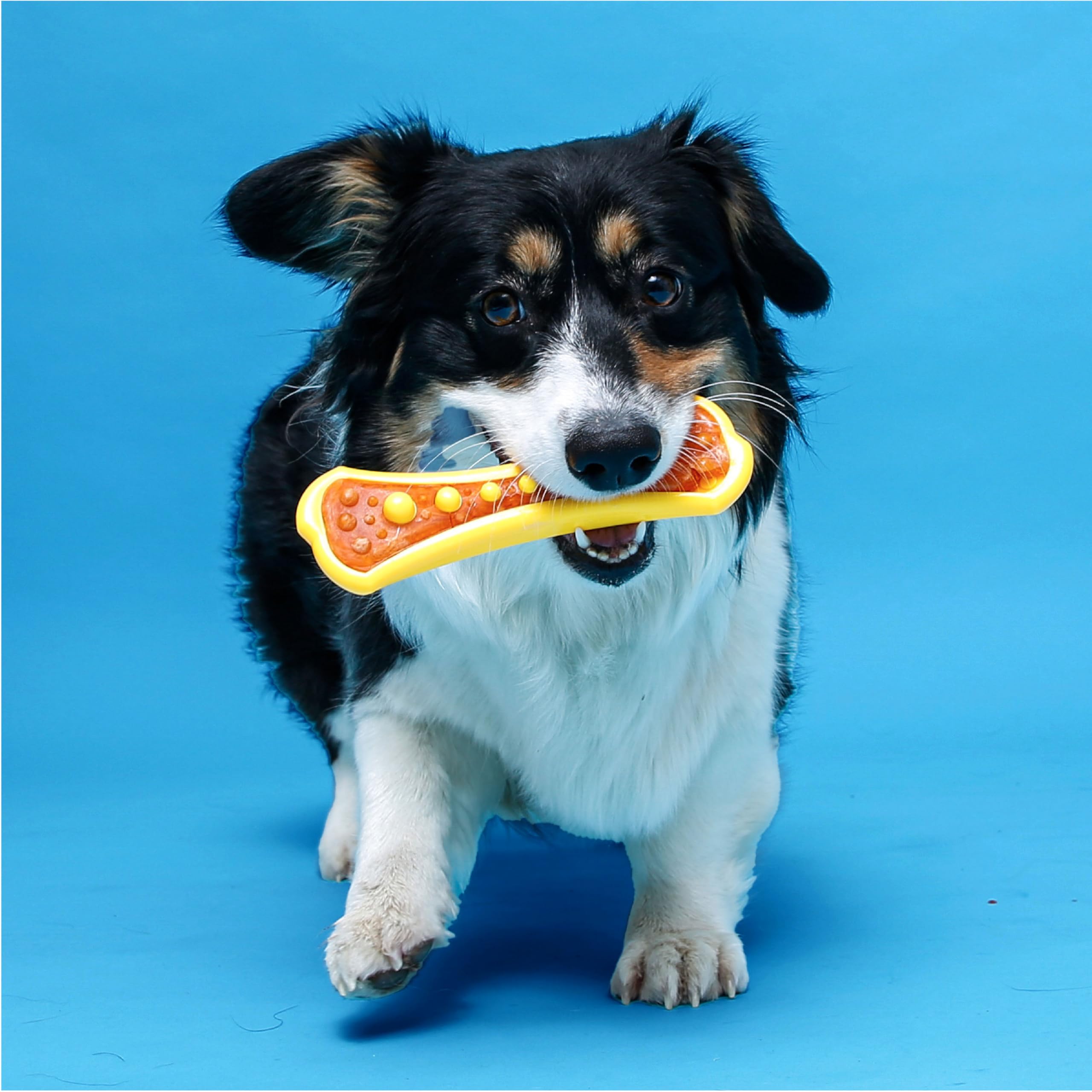 Hartz Chew 'n Clean Duo : tailles XS à XL pour toutes les tailles.